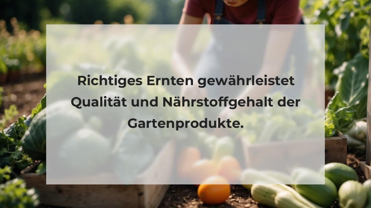 Richtiges Ernten gewährleistet Qualität und Nährstoffgehalt der Gartenprodukte.