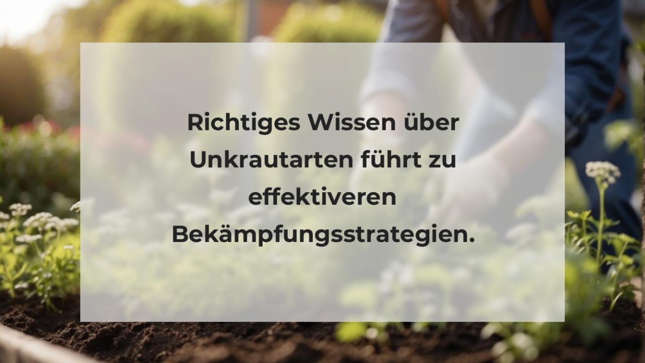 Richtiges Wissen über Unkrautarten führt zu effektiveren Bekämpfungsstrategien.