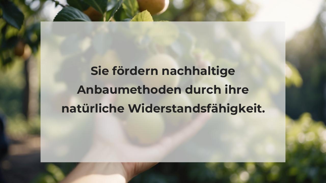 Sie fördern nachhaltige Anbaumethoden durch ihre natürliche Widerstandsfähigkeit.