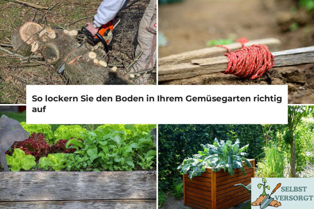 Bodenlockerung im Gemüsegarten