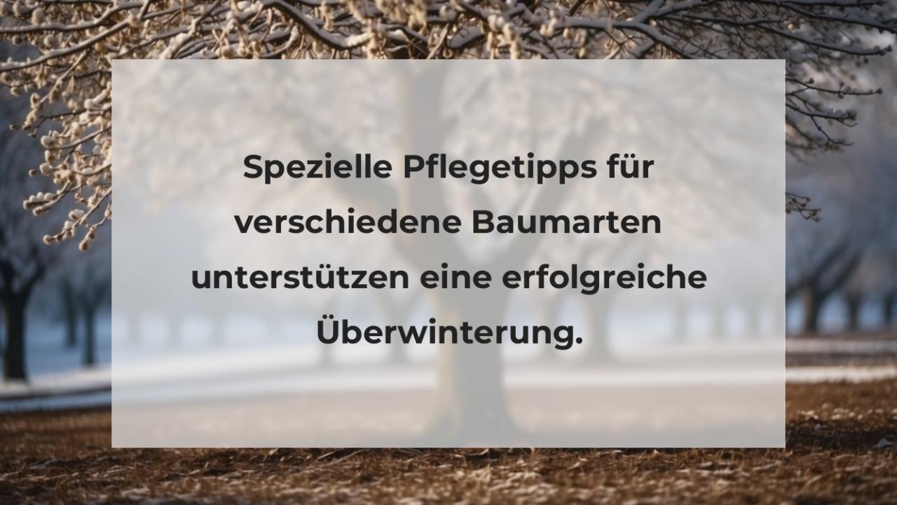 Spezielle Pflegetipps für verschiedene Baumarten unterstützen eine erfolgreiche Überwinterung.