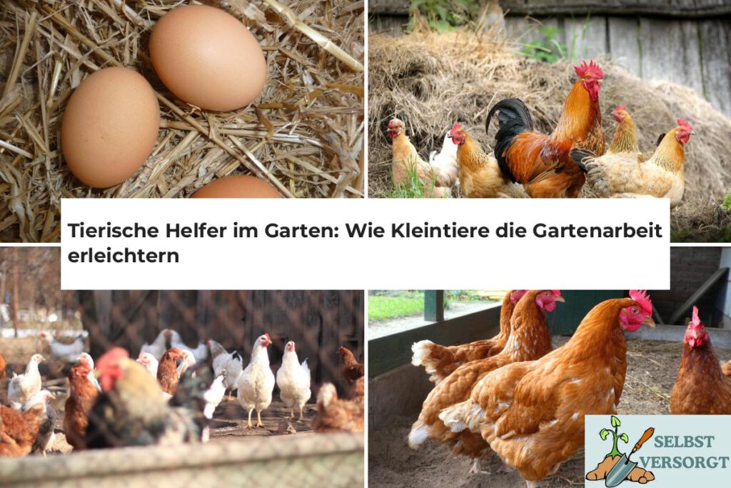 Tierische Helfer im Garten