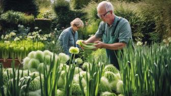 tipps zur bekaempfung der lauchfliege im eigenen garten