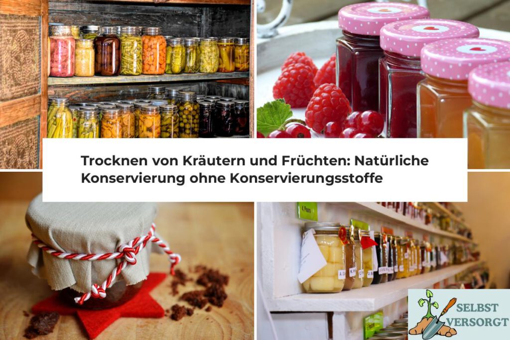 Trocknen von Kräutern und Früchten