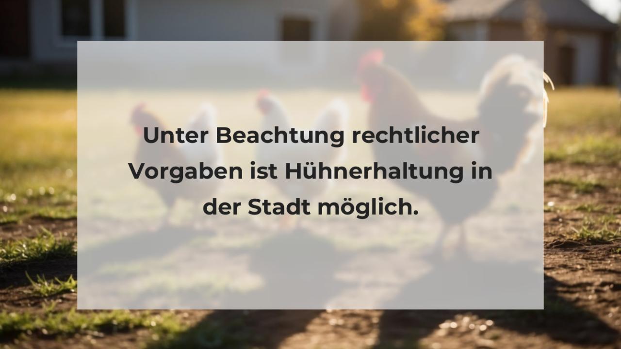 Unter Beachtung rechtlicher Vorgaben ist Hühnerhaltung in der Stadt möglich.