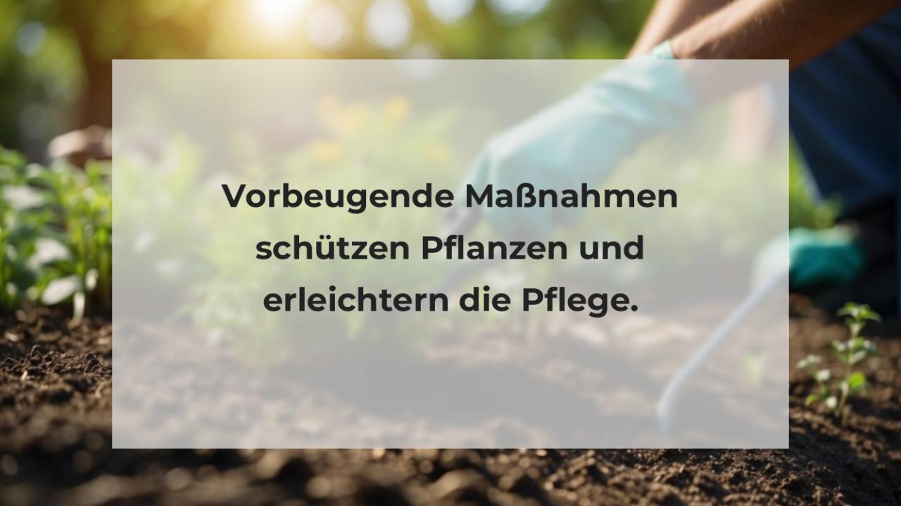 Vorbeugende Maßnahmen schützen Pflanzen und erleichtern die Pflege.