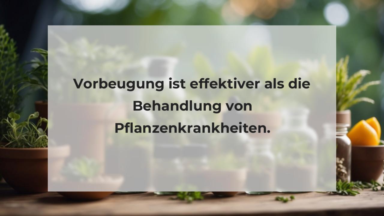 Vorbeugung ist effektiver als die Behandlung von Pflanzenkrankheiten.