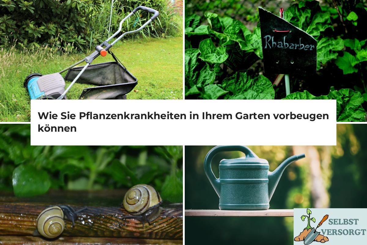 Wie Sie Pflanzenkrankheiten in Ihrem Garten vorbeugen können Selbst