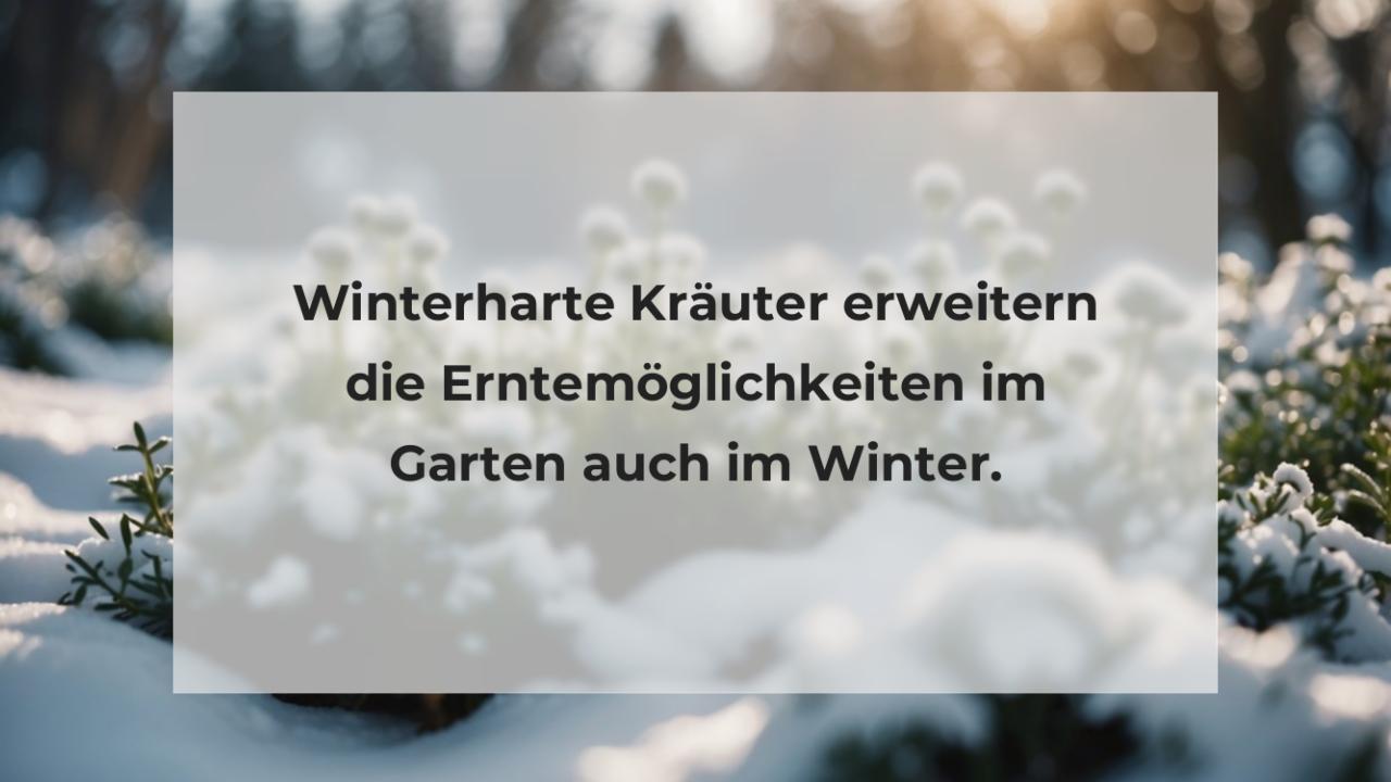 Winterharte Kräuter erweitern die Erntemöglichkeiten im Garten auch im Winter.